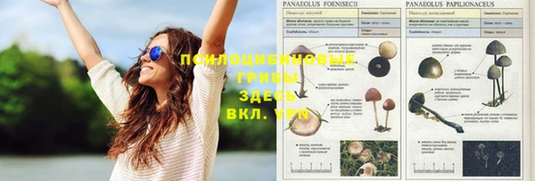 скорость mdpv Алексеевка