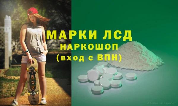 прущие грибы Аша